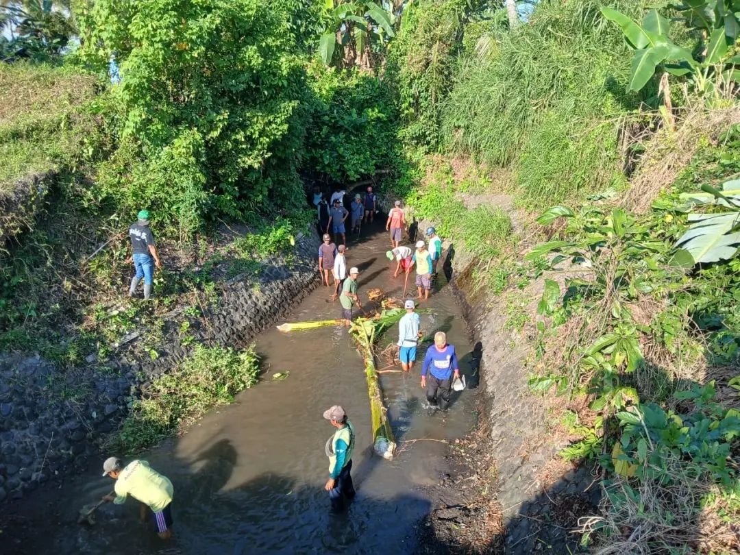 Pengentasan Kemiskinan Melalui Padat Karya, Upaya Pemerintah Banyuwangi dalam Menggerakkan Ekonomi 