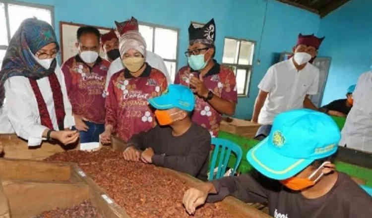Atraksi Pengolahan Biji Kakao Siap Diduguhkan di Festival Cokelat Glenmore Banyuwangi