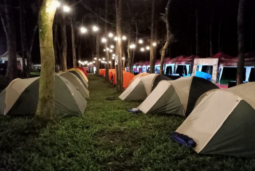 Paket Wisata Menarik Jelajah Hutan Pinus Banyuwangi 