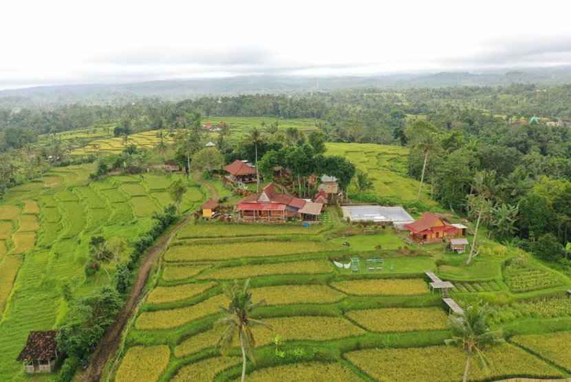 Wisata Alam Dengan Pemandangan Perbukitan di Banyuwangi 