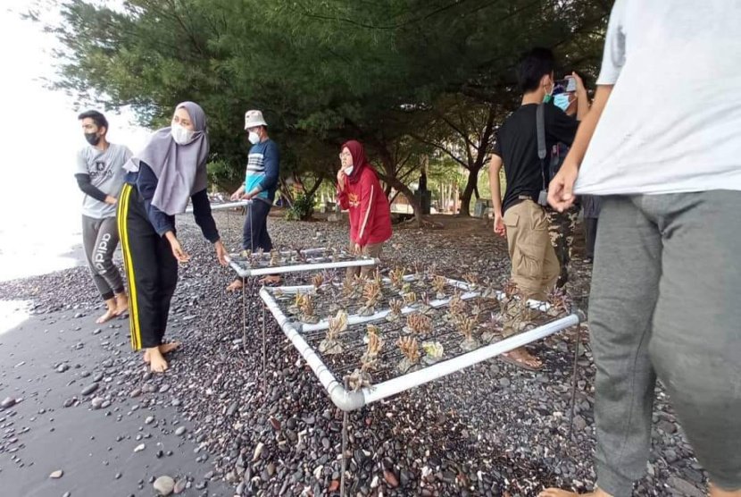 Wisata Bangsring Underwater Jadi Pilihan Saat Berlibur 