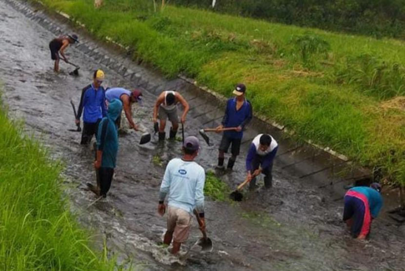 Padat Karya Dinas Pengairan, Jalan Perekonomian Bagi Ribuan Warga Banyuwangi 