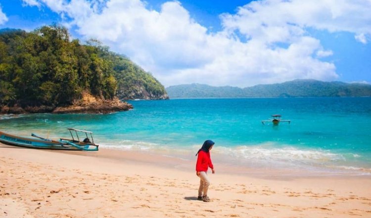 Teluk Hijau Banyuwangi, Kaya Akan Terumbu Karang hingga Air Terjun Menawan