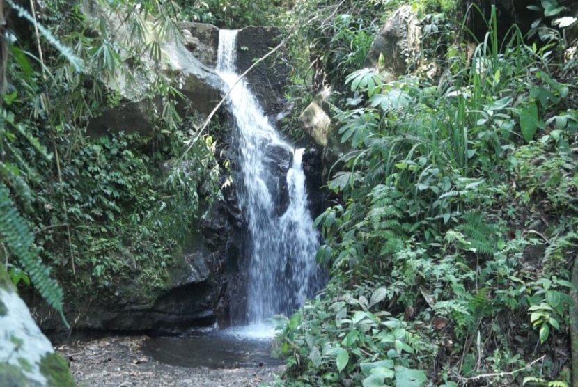 Air Terjun Kalibendo Banyuwangi Tawarkan Kejernihan Air 