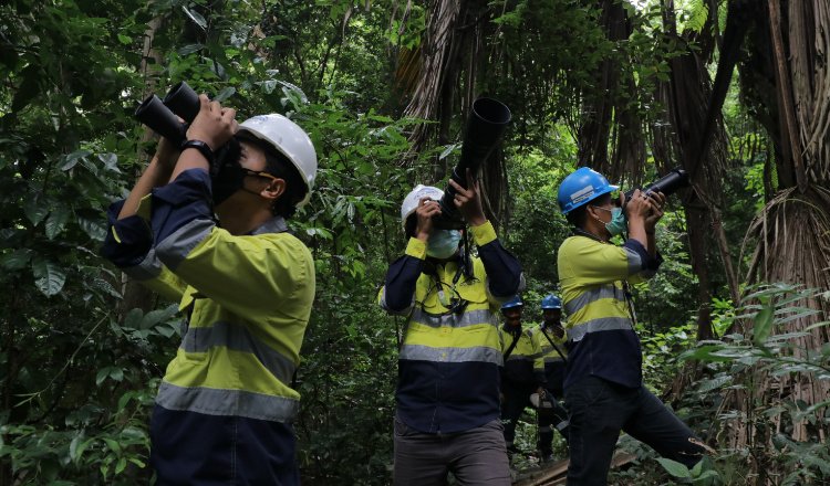 Buffer Zone Hingga Reklamasi: Langkah PT BSI Pertahankan Keanekaragaman Hayati