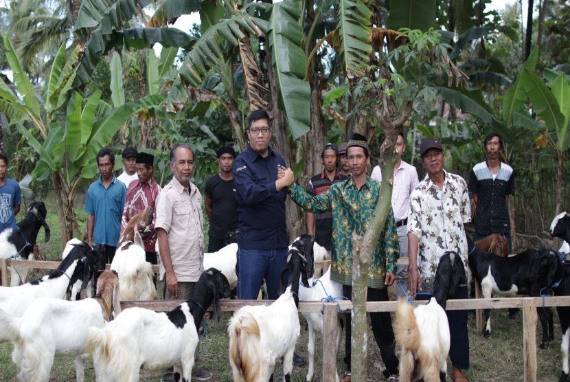 Pupuk Organik Kotoran Kambing PT BSI Solusi Tepat Keterbatasan Pupuk Subsidi 