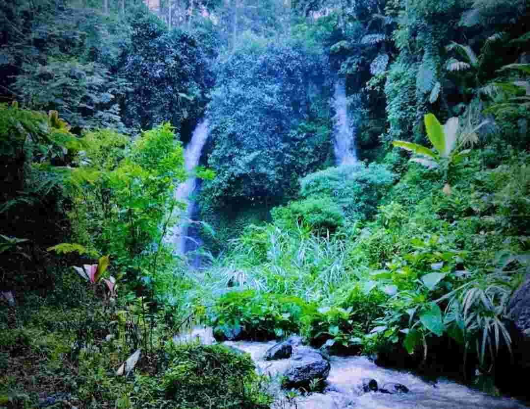 Mengagumkan Kembaran Alam: Air Terjun Tirto Kemanten Banyuwangi