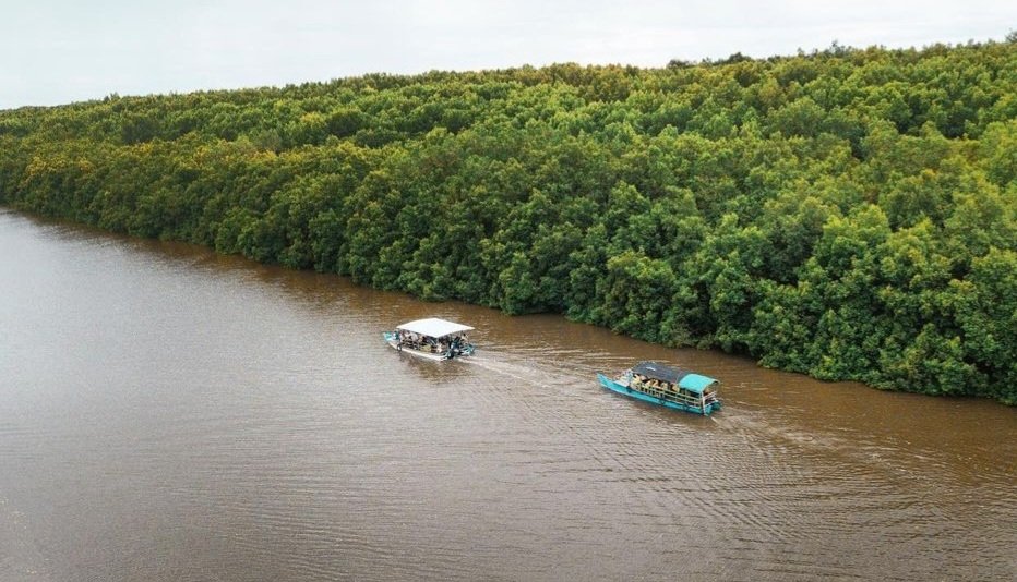 Menggali Keindahan dan Keanekaragaman Hayati di Mangrove Bedul Banyuwangi