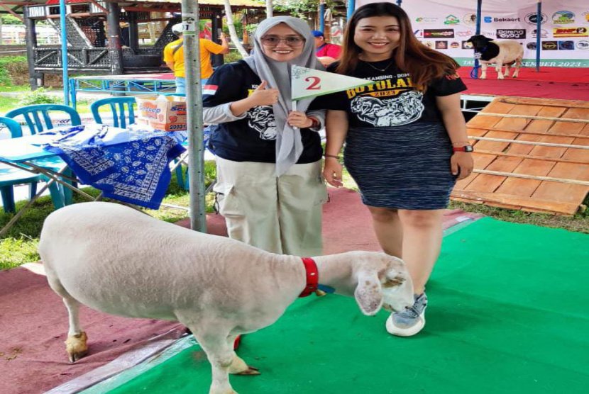 Peternakan Kambing dan Domba Banyuwangi Torehkan Prestasi dalam Kontes Nasional