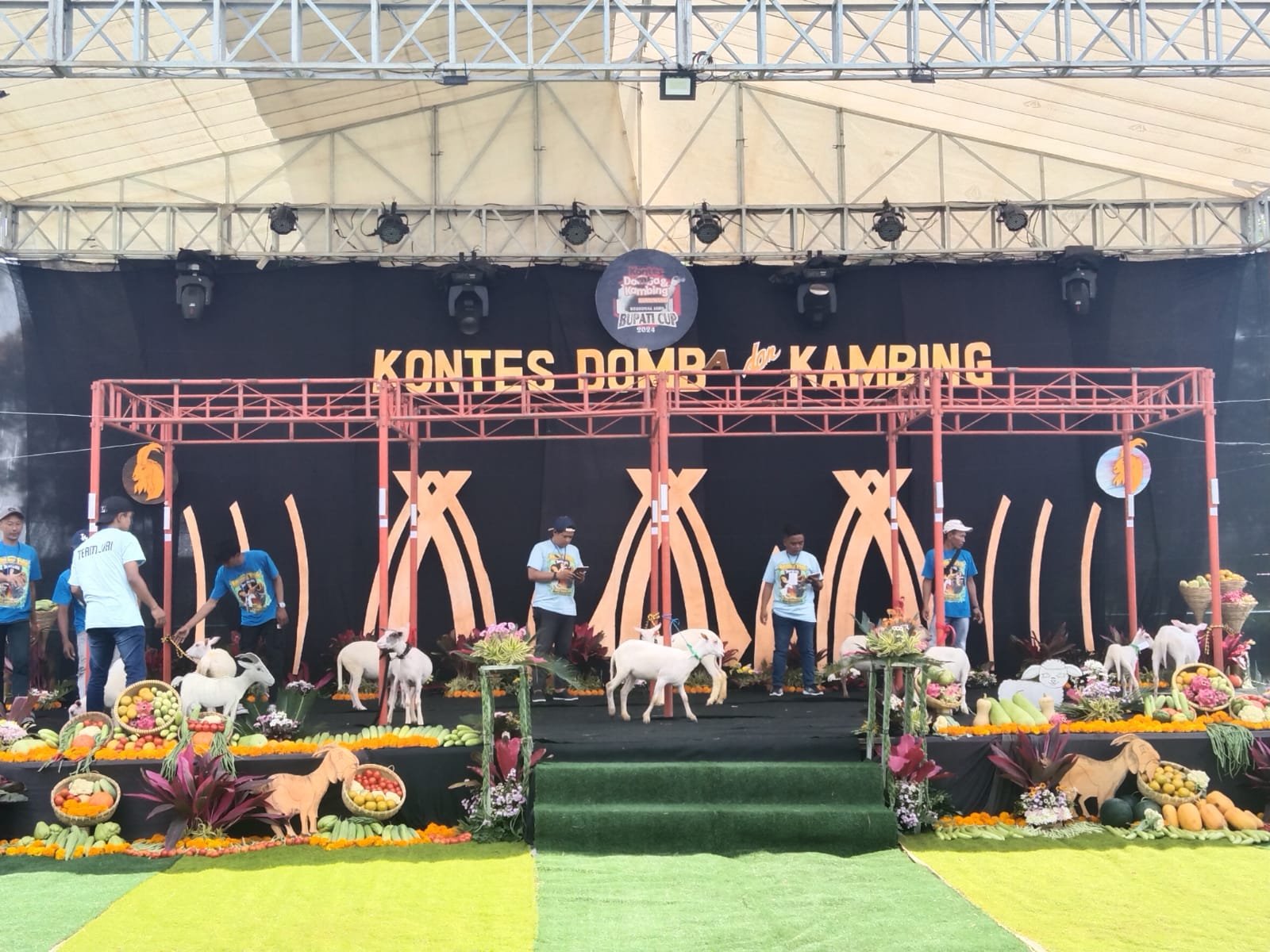 Ratusan Domba dan Kambing Bersaing di Kontes Piala Bupati Banyuwangi